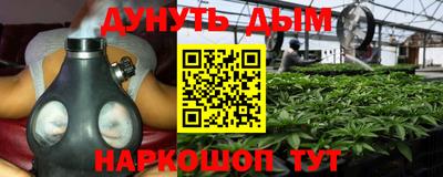 mdpv Братск