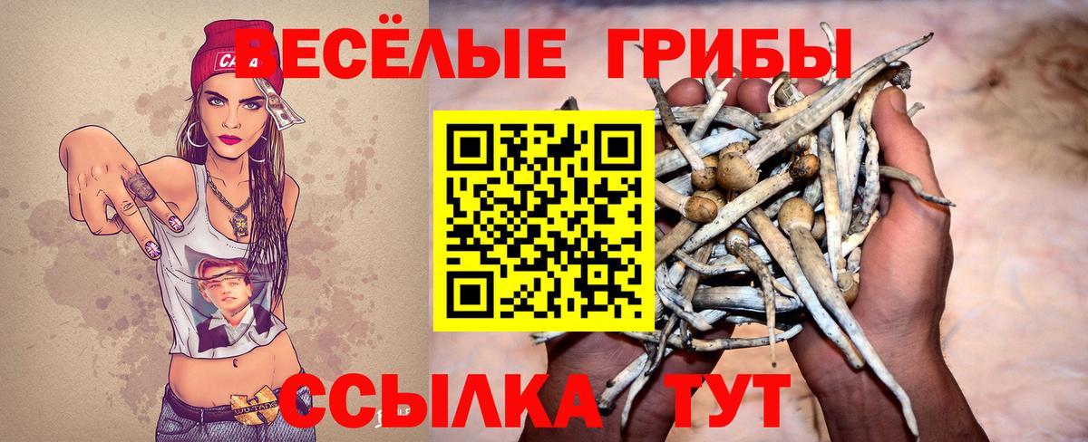 Галлюциногенные грибы Psilocybine cubensis Острогожск